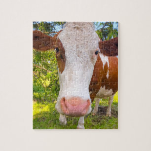 Cow Farm Animal Photo Jigsaw Puzzle