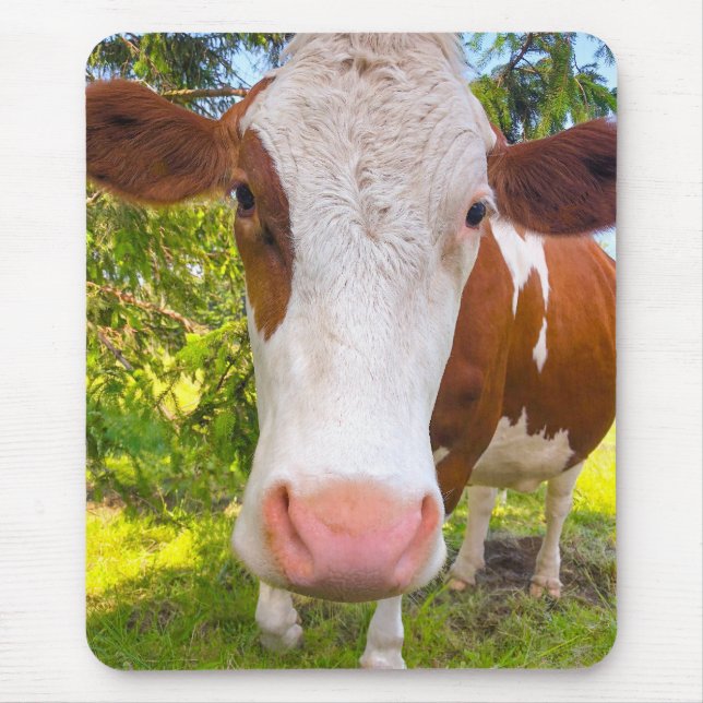 Cow Farm Animal Photo Mouse Pad (Front)