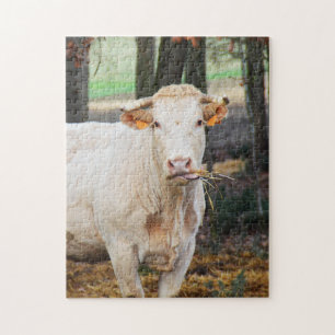 Cow feeding in France Jigsaw Puzzle