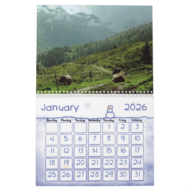 COW FUN COVER CALENDAR (Jan 2026)