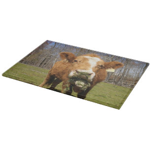 Cow Glass Cutting Board