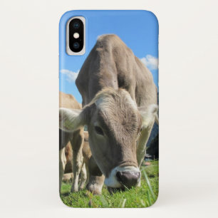 Cow Grazing Case-Mate iPhone Case