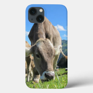 Cow Grazing iPad case