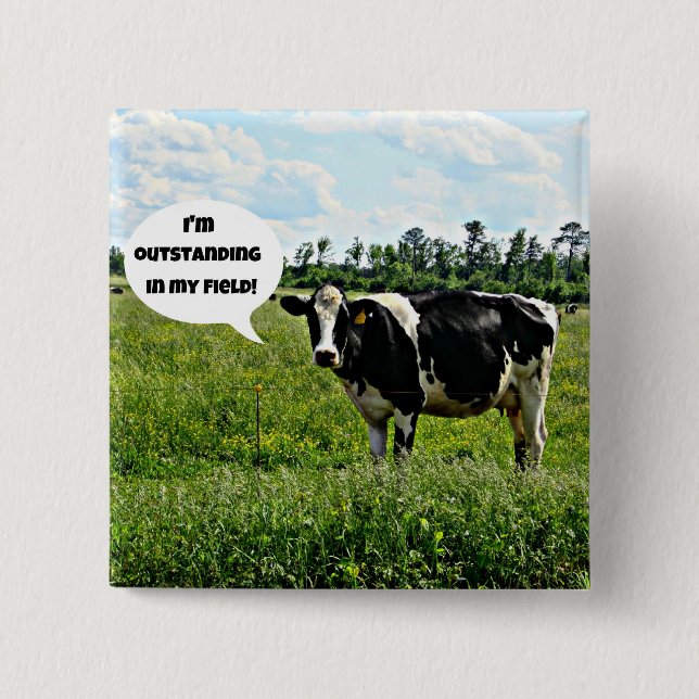Cow Humour 2 Inch Square Button (Front)