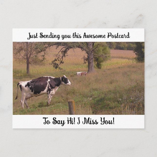 Cow in a Field "I Miss YOU" Saying Hi  Postcard (Front)