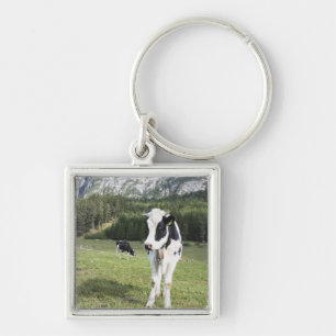 Cow In A Meadow, Fie Allo Sciliar, Alto Adige, Keychain