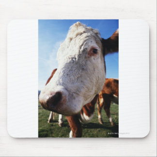 Cow in field, close-up mouse pad