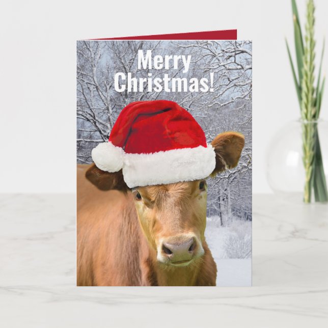 Cow in Santa Hat - Merry Christmas, Happy Moo Year Holiday Card (Front)