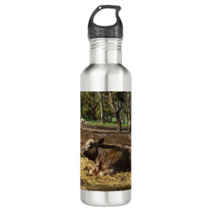 Cow Its A Farm Life, Water Bottle