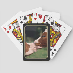 Cow Kisses Photo Art Playing Cards