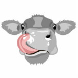 cow licking nose  photo sculpture keychain<br><div class="desc">Animals are important for many reasons,  but they also move feelings. Which is your favorite?</div>