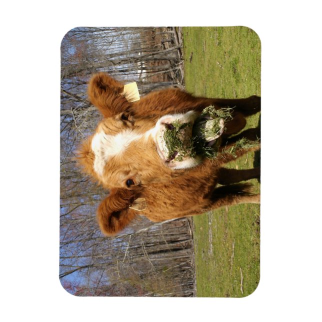 Cow Magnet (Vertical)