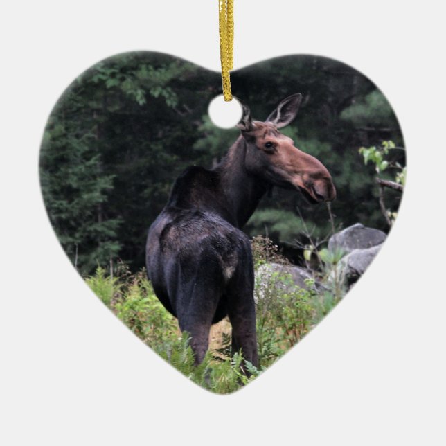 Cow Moose Ceramic Ornament (Front)
