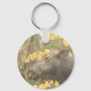 Cow moose in the Maine rain Keychain