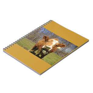 Cow Notebook