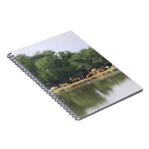 Cow Notebook