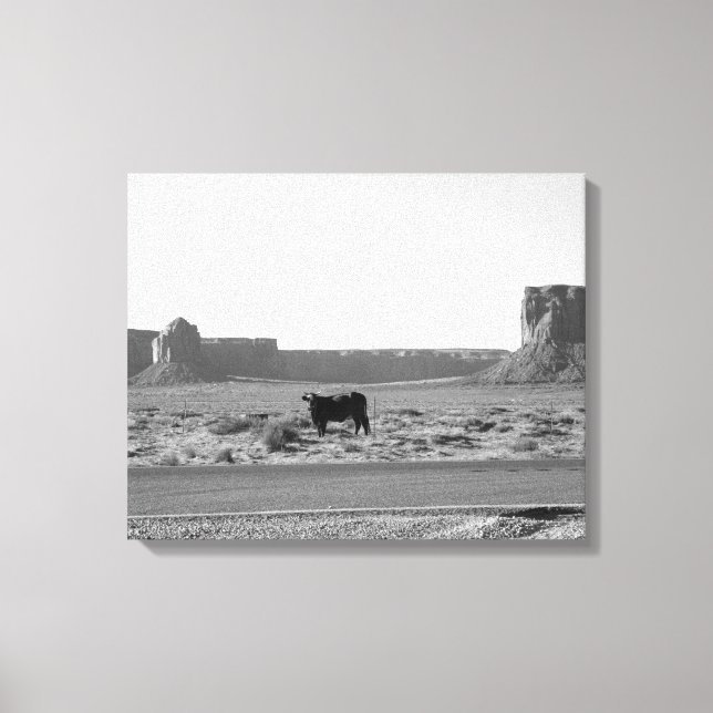 Cow on The Side of the Road Monument Valley 16x20 Canvas Print (Front)