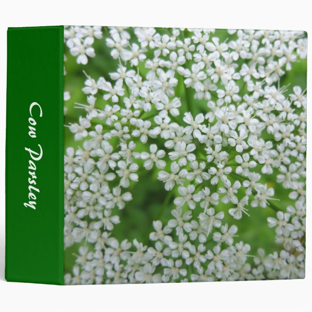 Cow Parsley (2.0in) Binder (Front/Spine)