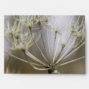 Cow parsley envelope
