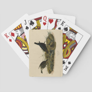 Cow-pen Bird (Cowbird) Audubon's Birds of America Playing Cards