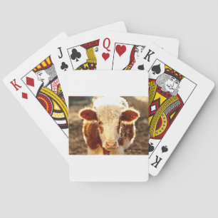 Cow Playing Cards