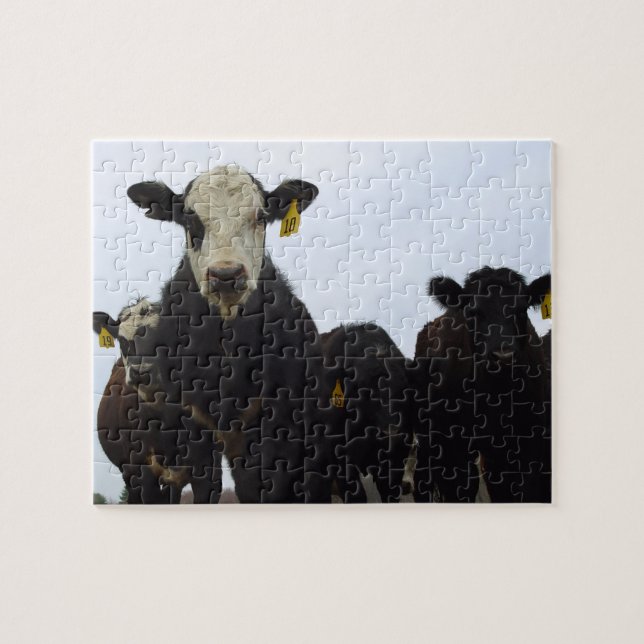 Cow Posse Puzzle (Horizontal)