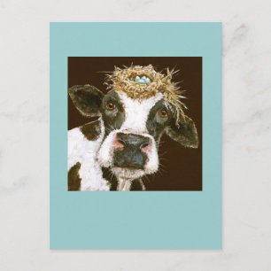 cow postcard