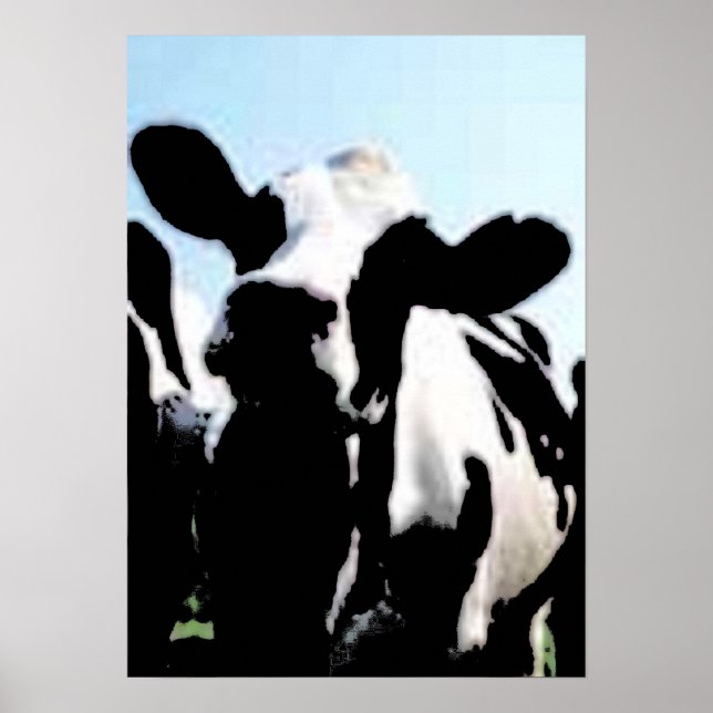 cow poster (Front)