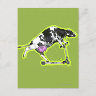Cow Riding a Scooter Postcard