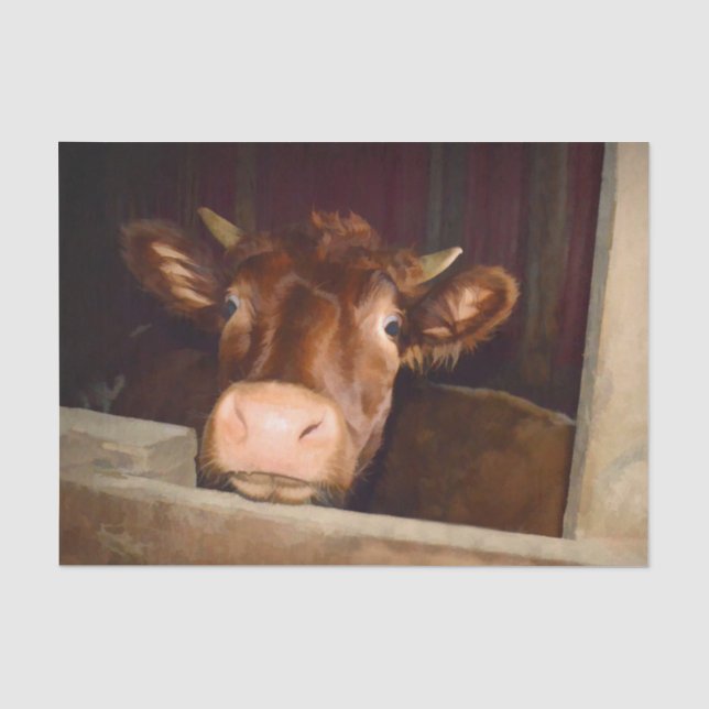 Cow Rustic Country Barn Funny Farm Tissue Paper (Front)