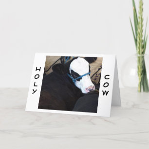 "COW" SAYS "HOLY COW" ANOTHER BIRTHDAY CARD