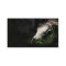 Cow skull profile or business card