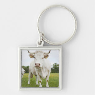 Cow standing in grassy field keychain