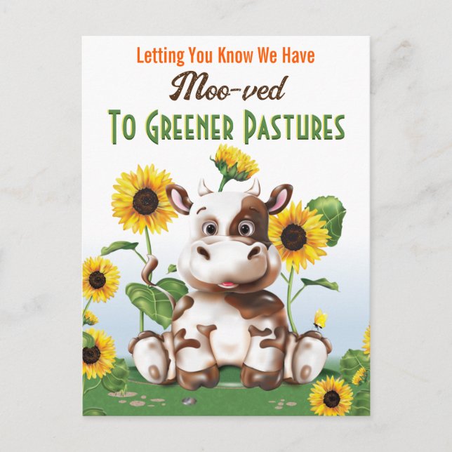 Cow Sunflower Change of Address Postcard (Front)