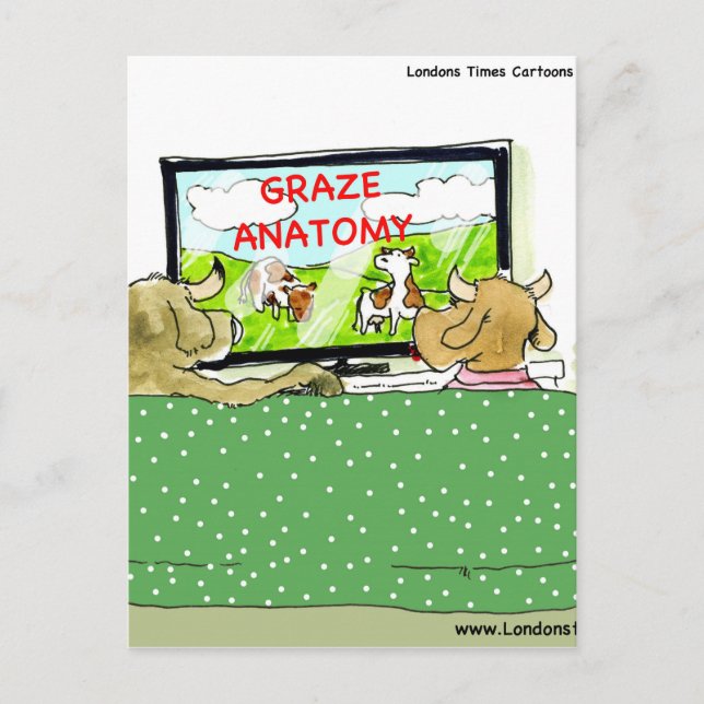 Cow TV Shows Funny Cartoon Postcard (Front)
