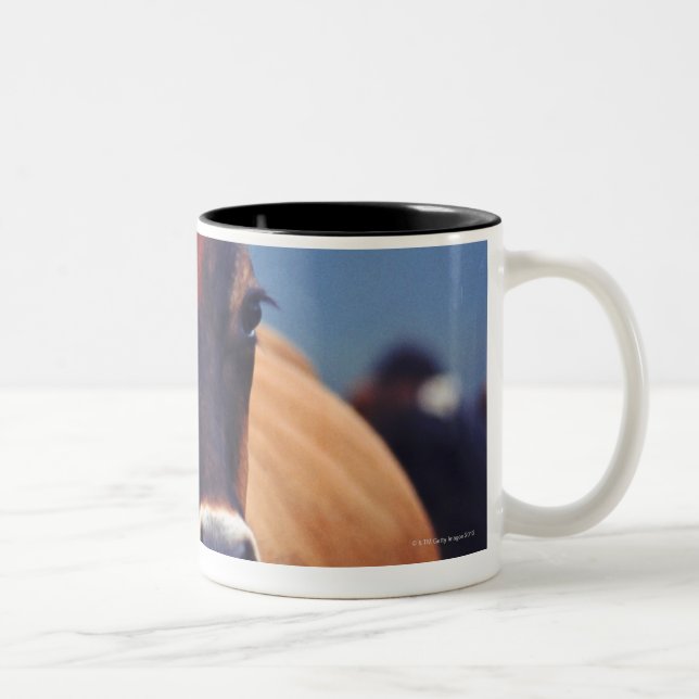 cow Two-Tone coffee mug (Right)