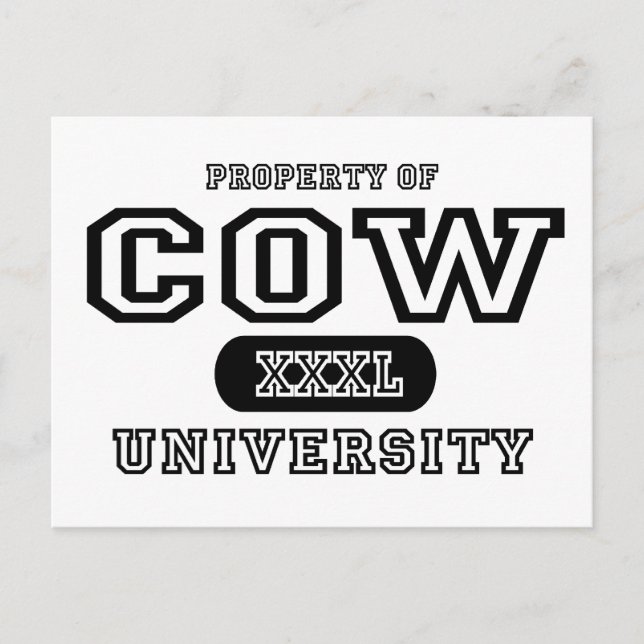 Cow University Postcard (Front)
