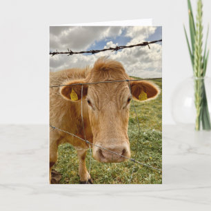 Cow Wishes For You Greeting Card