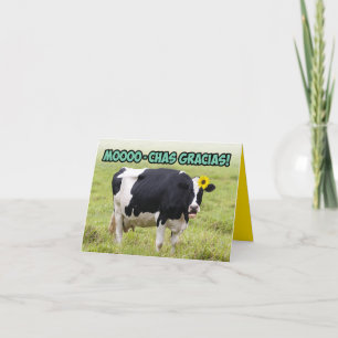 Cow With Daisy Saying Mooochas Gracias Thank You Card