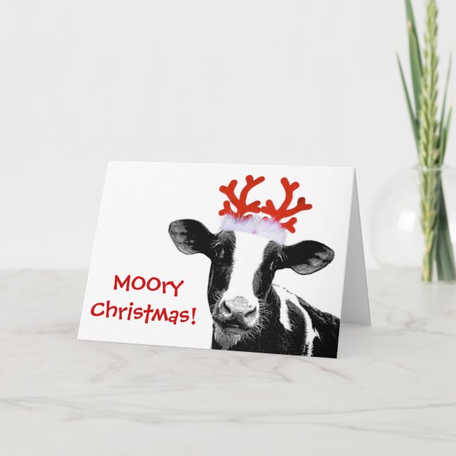 Cow with Reindeer Antlers Holiday Card (Front)