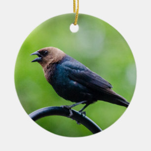 Cowbird Calling Ceramic Ornament