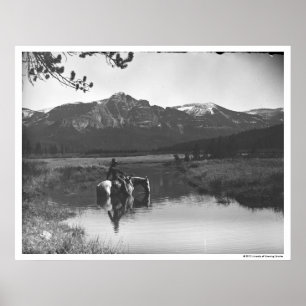 Cowboy and horse in a pond poster