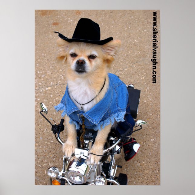 Cowboy Biker Dog Poster (Front)