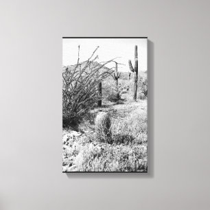 Cowboy Garden Canvas (AZ Sonoran Desert) Print