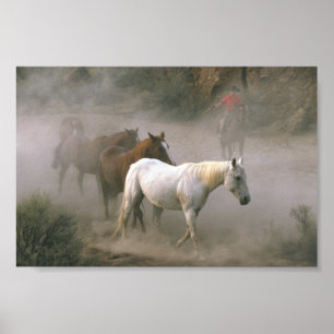 Cowboy Herding Poster