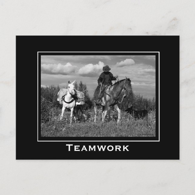 Cowboy Horse and Mule Motivational Postcards (Front)