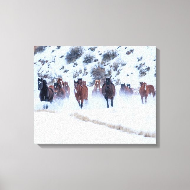 Cowboy Horse Drive | Hideout Ranch Shell, Wyoming Canvas Print (Front)