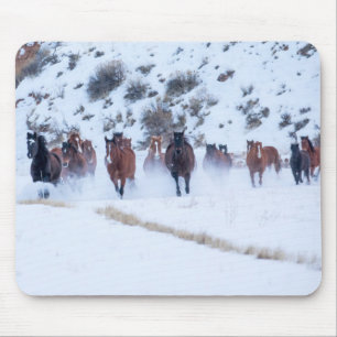 Cowboy Horse Drive   Hideout Ranch Shell, Wyoming Mouse Pad