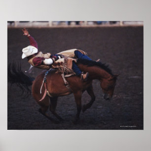 Cowboy in a Rodeo 2 Poster
