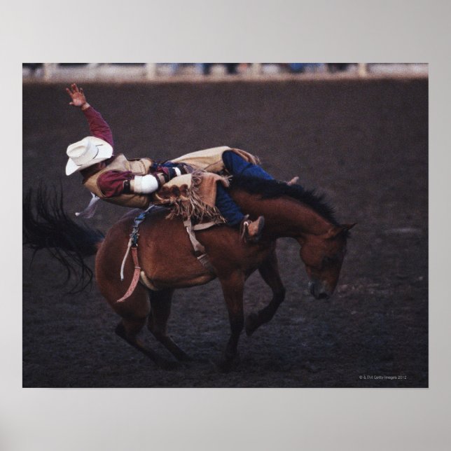 Cowboy in a Rodeo 2 Poster (Front)